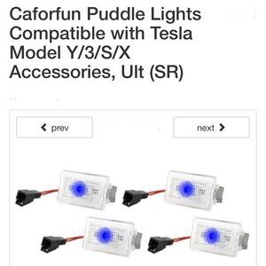 Tesla Puddle Lights, Door opening projection